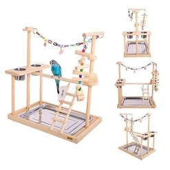 Mia's Pet Supply : QBLEEV Parrot Wood Stand Perch Bird Playstand Playground