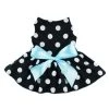 Mia's Pet Supply Fitwarm Cute Polka Dot Ribbon Dog Dress Dog Clothes Cozy Dog Shirt Pet Dress, Small Apparel