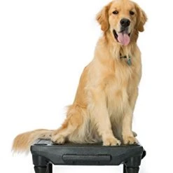 Mia's Pet Supply The KLIMB Dog Training Platform And Agility System