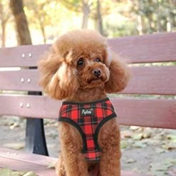 PUPTECK Soft Mesh Dog Harness with Leash - Comfortable & Adjustable for Small to Large Dogs 12 Mia's Pet Supply : PUPTECK Soft Mesh Dog Harness With Leash -
