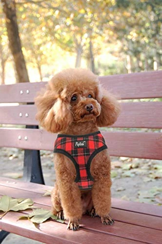 PUPTECK Soft Mesh Dog Harness with Leash - Comfortable & Adjustable for Small to Large Dogs 5 Mia's Pet Supply : PUPTECK Soft Mesh Dog Harness With Leash -