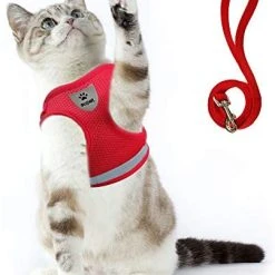 Mia's Pet Supply Cat Harness And Leash Set For Walking Cat And Small Dog Harness