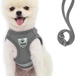 Mia's Pet Supply Cat Harness And Leash Set For Walking Cat And Small Dog Harness