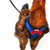 Mia's Pet Supply Yesito Chicken Harness Hen Size With 6ft Matching Leash