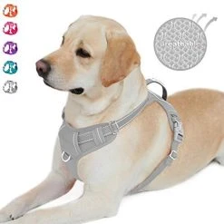 Mia's Pet Supply No Pull Dog Harness Front Clip Heavy Duty Reflective Easy Control Handle For Large Dog Leashes And Harness