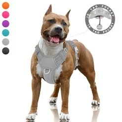 Mia's Pet Supply BARKBAY No Pull Dog Harness Large Step In Reflective Dog Harness Leashes And Harness