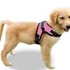 Mia's Pet Supply : No Pull Reflective Adjustable Dog Harness