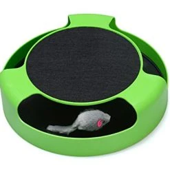 Mia's Pet Supply FYNIGO Cat Interactive Toys With A Running Mice