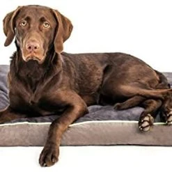 Mia's Pet Supply Orthopedic Dog Bed | Pure Premium Shredded Memory Foam Bedding