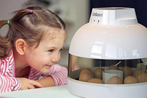 Budget Mia's Pet Supply Life Basis Egg Incubator for Chicken Coops | Reliable & Efficient Hatching Solution 7 Mia's Pet Supply Life Basis Egg Incubator
