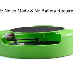 Mia's Pet Supply FYNIGO Cat Interactive Toys With A Running Mice