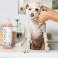 Mia's Pet Supply Hygiene Paws & Pals Natural Oatmeal Dog Shampoo And Conditioner Combo