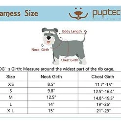 Mia's Pet Supply : PUPTECK Soft Mesh Dog Harness With Leash -