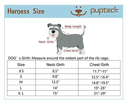 PUPTECK Soft Mesh Dog Harness with Leash - Comfortable & Adjustable for Small to Large Dogs 2 Mia's Pet Supply : PUPTECK Soft Mesh Dog Harness With Leash -