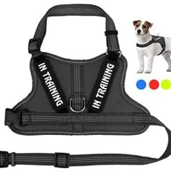 Mia's Pet Supply Leashes And Harness NOYAL In Training Dog Harness, Soft Breathable Mesh Dog Vest Harness