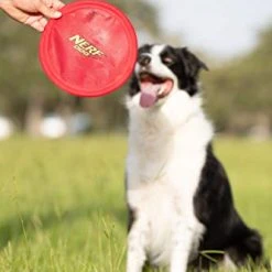 Mia's Pet Supply Pet Supplies : Pet Flying Discs : Nerf Dog Nylon Flying Disk Dog Toy, Large, Red : Dog Toys