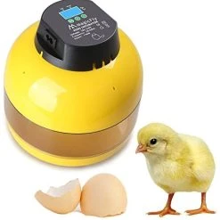 Mia's Pet Supply Magicfly Digital Mini Semi Automatic Egg Incubator 10 Eggs Poultry Hatcher