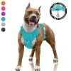 Mia's Pet Supply BARKBAY No Pull Dog Harness Large Step In Reflective Dog Harness Leashes And Harness