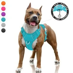 Mia's Pet Supply BARKBAY No Pull Dog Harness Large Step In Reflective Dog Harness Leashes And Harness