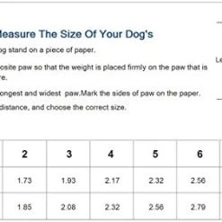 Mia's Pet Supply Xanday Breathable Dog Boots, Mesh Dog Shoes Apparel