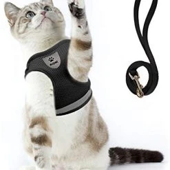 Mia's Pet Supply Cat Harness And Leash Set For Walking Cat And Small Dog Harness