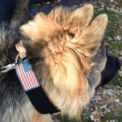 Mia's Pet Supply Dog Collar With Control Handle