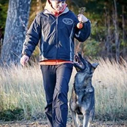 Mia's Pet Supply Dog Toys : PlayfulSpirit Durable Natural Rubber Ball On A Rope