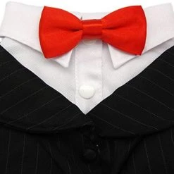 Mia's Pet Supply Oscar Formal Tuxedo With Black Tie And Red Bow Tie Apparel