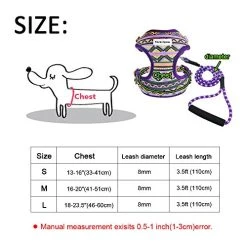 Mia's Pet Supply Multi-Colored Stylish Dog Walking Vest Harness And Leash Set- Leashes And Harness