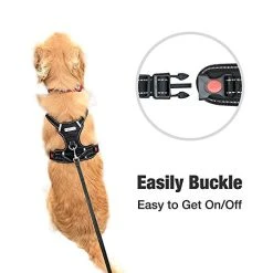 Mia's Pet Supply : Babyltrl Big Dog Harness No-Pull Adjustable Leashes And Harness