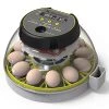 Mia's Pet Supply Chicken Coop Cages KEBONNIXS 12 Egg Incubator, Egg Candler