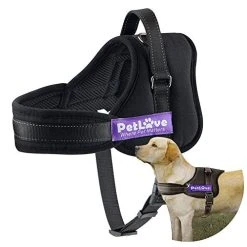 Cheap Mia's Pet Supply Store 24 Mia's Pet Supply : Soft Leash Padded No Pull Dog Harness With All Kinds Of Size (XXX Small, Black)