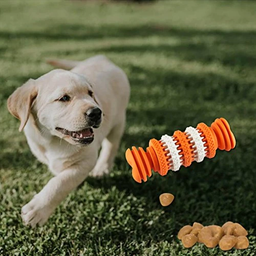 Mia's Pet Supply Dog Treat Bone - Nontoxic Dental Chew Toy for Dogs, Best Sale 💯 6 Mia's Pet Supply Dog Treat Bone Nontoxic Dental Chew Bone