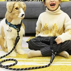 Mia's Pet Supply Strong Dog Leash With Comfortable Padded Handle Leashes And Harness