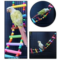 Mia's Pet Supply: Decorative Bird Cage Accessories, Aviary Perches & Training Tools for Birds 9 Mia's Pet Supply : Bird Cage Accessories Decorative Birdcage Training Aviary & Perches