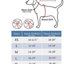 Mia's Pet Supply PoyPet No Pull Dog Harness - Reflective, No Choke Front Lead for Comfort & Safety 25 Mia's Pet Supply PoyPet No Pull Dog Harness, No Choke Front Lead Dog Reflective Harness Leashes And Harness