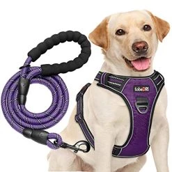 Mia's Pet Supply Leashes And Harness TobeDRI No Pull Dog Harness Adjustable Reflective Oxford Easy Control