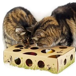 Mia's Pet Supply : Cat Interactive Treat Maze & Puzzle Feeder Cat Toys