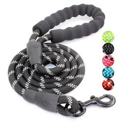 Mia's Pet Supply Strong Dog Leash With Comfortable Padded Handle Leashes And Harness