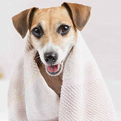 Wholesale Mia's Pet Supply Oster Oatmeal Essentials 4-in-1 Shampoo for Cats & Dogs - Gentle Cleansing & Moisturizing 3 Mia's Pet Supply Hygiene Oster Oatmeal Essentials 4-in-1 Shampoo