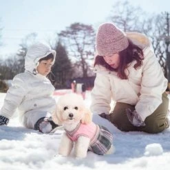 Mia's Pet Supply BINGPET Cute Dog Sweater Dress