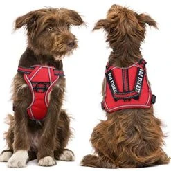 Mia's Pet Supply Leashes And Harness Service Dog Harness, No Pull Harness With Handle