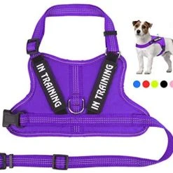 Mia's Pet Supply Leashes And Harness NOYAL In Training Dog Harness, Soft Breathable Mesh Dog Vest Harness