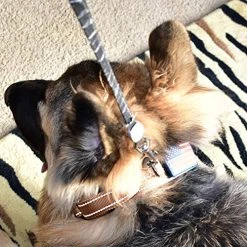 Mia's Pet Supply Dog Collar With Control Handle