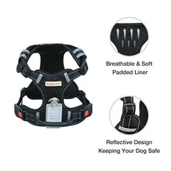Mia's Pet Supply : Babyltrl Big Dog Harness No-Pull Adjustable Leashes And Harness