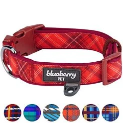 Mia's Pet Supply Blueberry Style Designer Padded Adjustable Dog Collar
