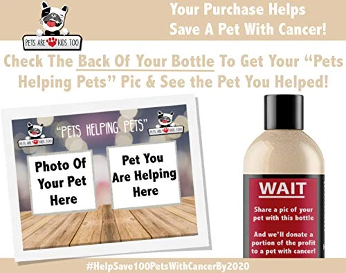 Mia's Pet Supply Oatmeal Anti-Itch Shampoo & Conditioner for Dogs & Cats - Best Deal for Pet Hygiene 7 Mia's Pet Supply : Pet Oatmeal Anti-Itch Shampoo & Conditioner In One!