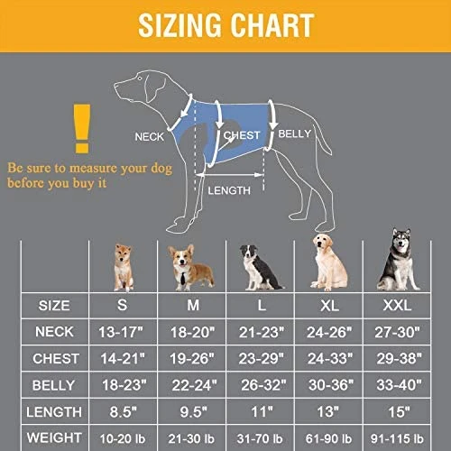 Mia's Pet Supply Dog Lift Harness - Support & Recovery Sling Leash for Dogs - Durable & Comfortable Harness for Pets 7 Mia's Pet Supply Dog Lift Harness, Support & Recovery Sling Leashes And Harness