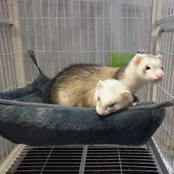 Mia's Pet Supply EONMIR Small Animal Sponge Double Hammock,