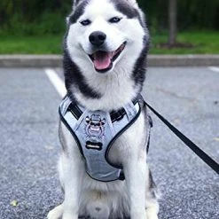 Mia's Pet Supply Silver Big Dog Harness - No-Pull Anti-Tear Adjustable Leash & Harness for Large Dogs 10 Mia's Pet Supply : Babyltrl Silver Big Dog Harness No-Pull Anti-Tear Adjustable Leashes And Harness